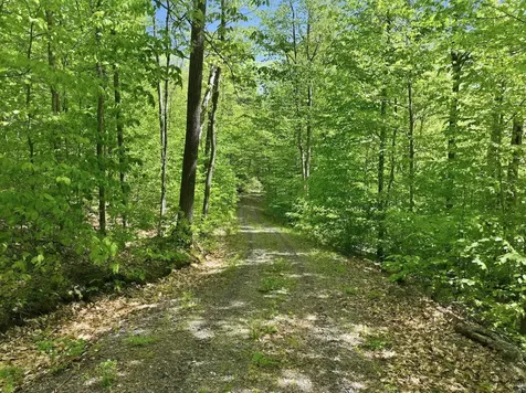 189 Shagbark Lane Williston VT 05495