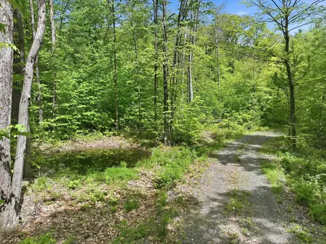 189 Shagbark Lane Williston VT 05495