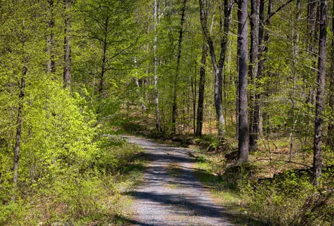 189 Shagbark Lane Williston VT 05495