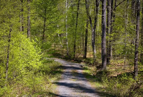 189 Shagbark Lane Williston VT 05495