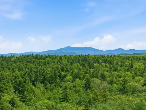 189 Shagbark Lane Williston VT 05495