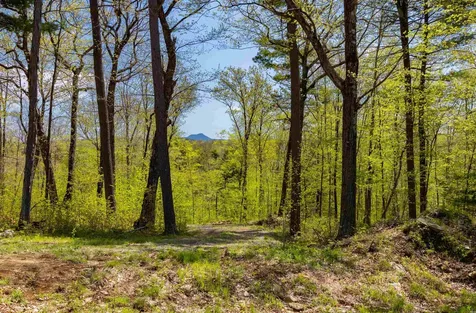 189 Shagbark Lane Williston VT 05495