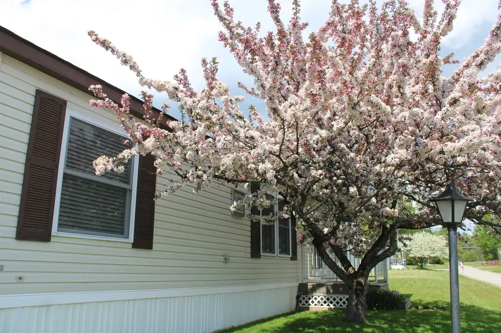 24 Ridgeview Terrace Dalton NH 03598