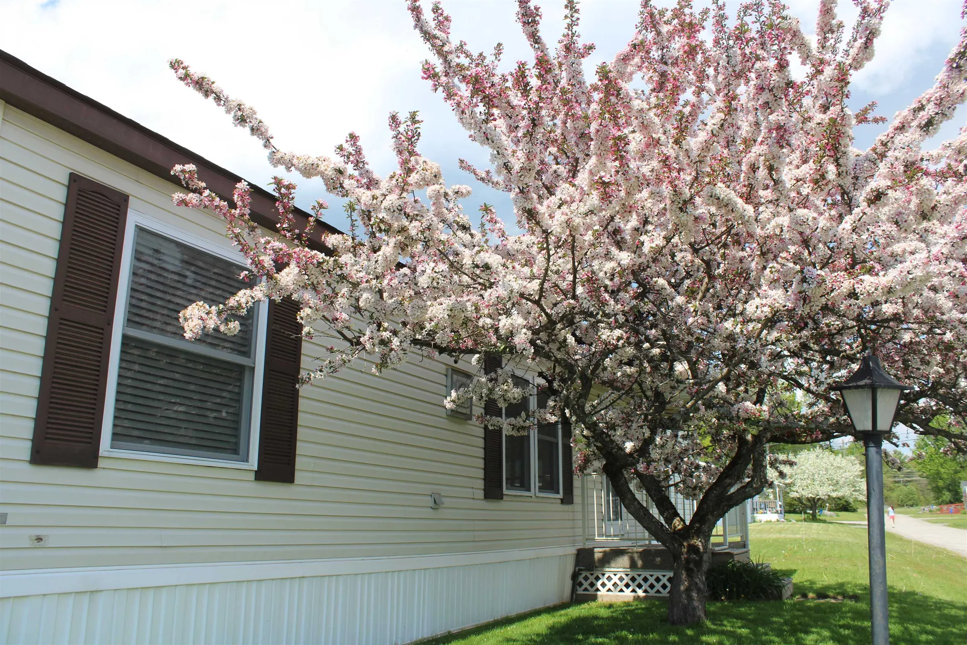 24 Ridgeview Terrace Dalton NH 03598