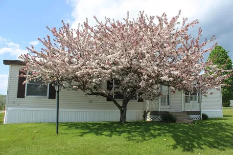 24 Ridgeview Terrace Dalton NH 03598