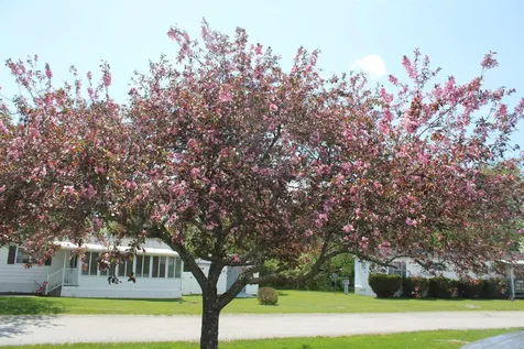 24 Ridgeview Terrace Dalton NH 03598