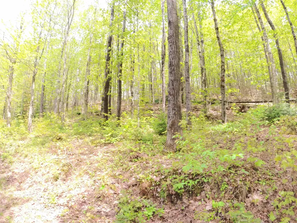 763 Hunting Camp Road Holland VT 05830