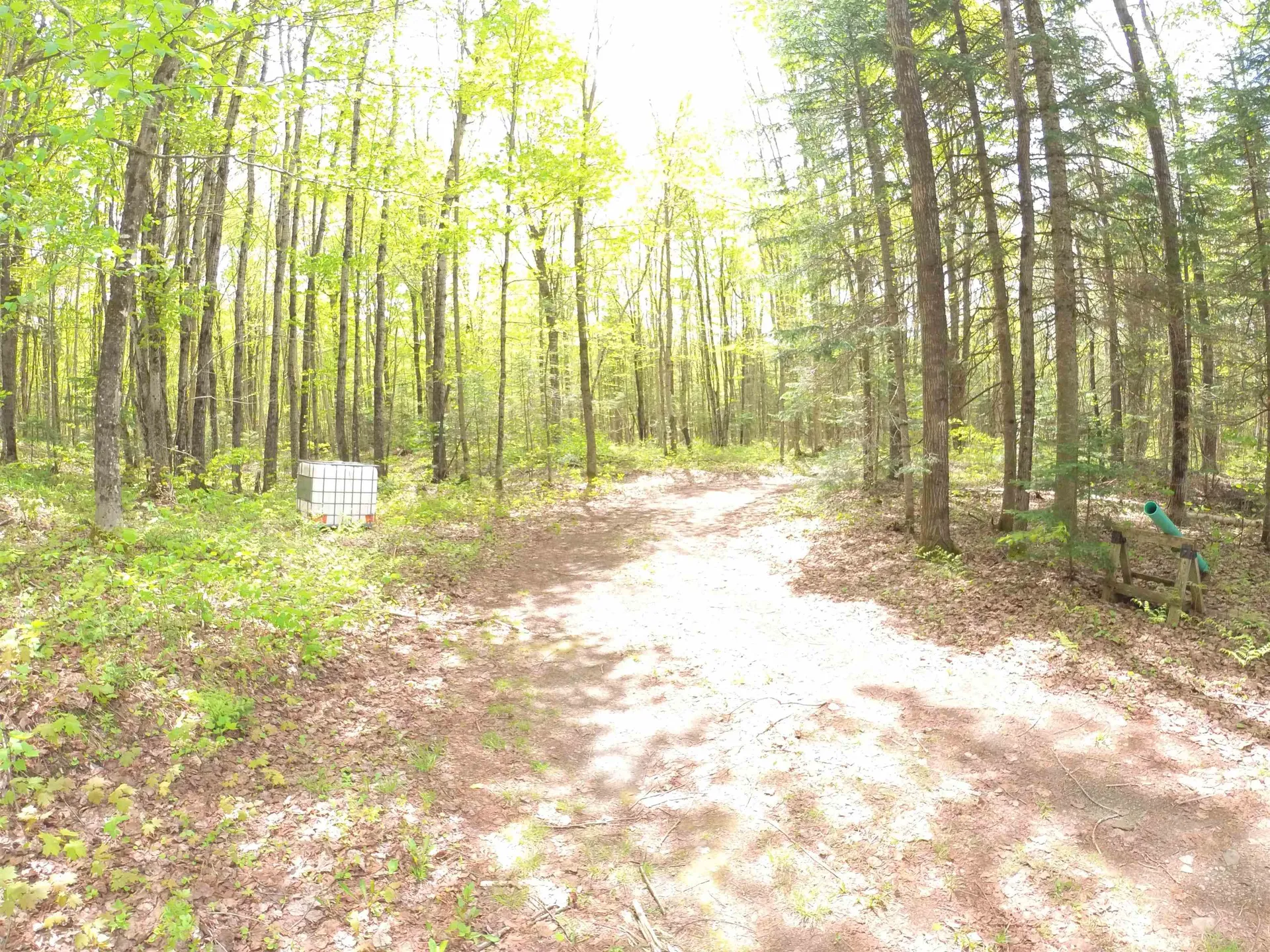763 Hunting Camp Rd Road Holland VT 05830