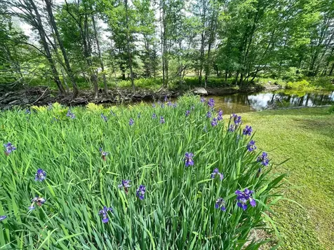 4296 Center Fayston Road Fayston VT 05660