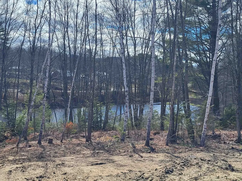 276 Nh Route 104 Danbury NH 03230