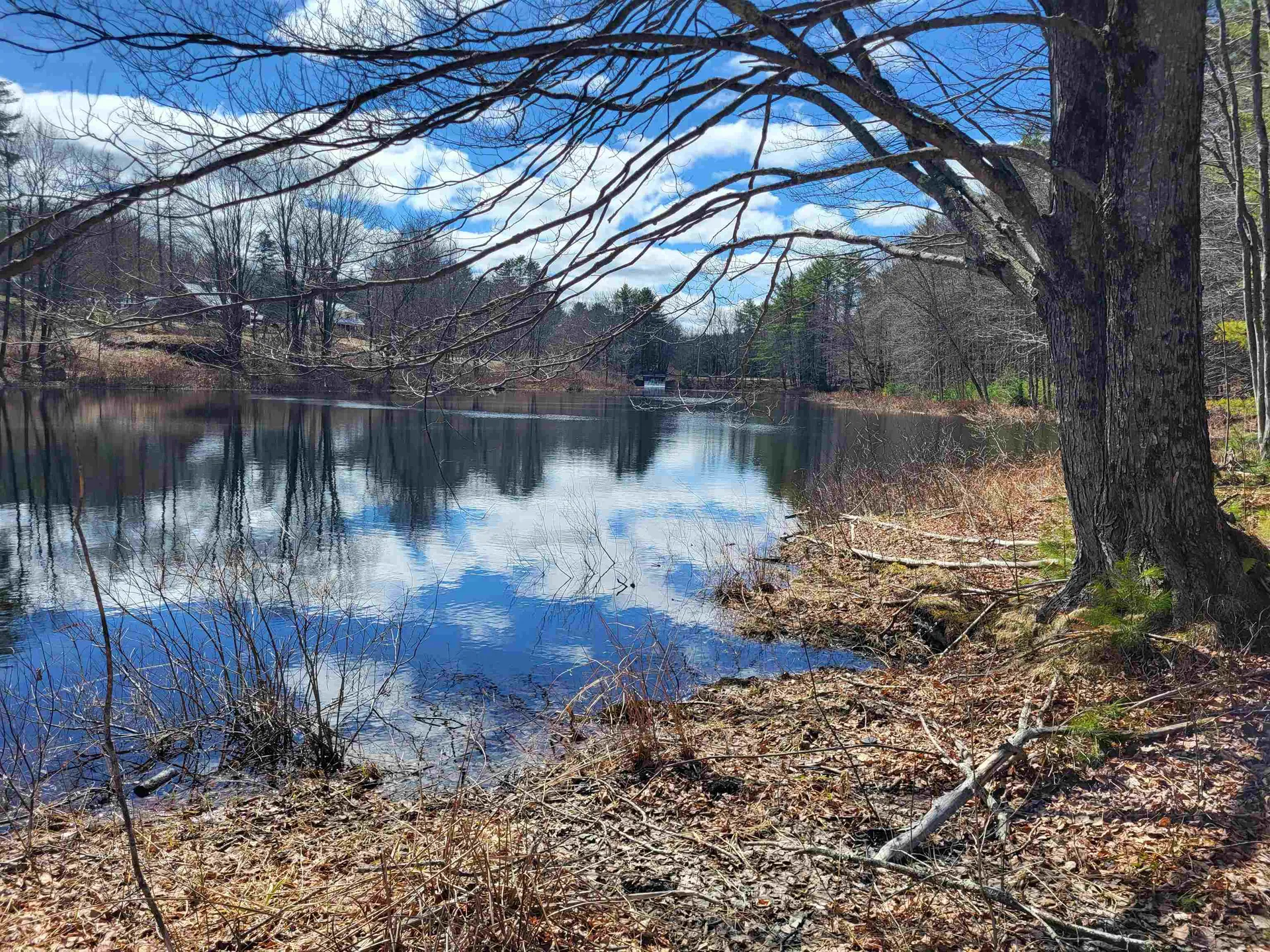 276 Nh Route 104 Danbury NH 03230