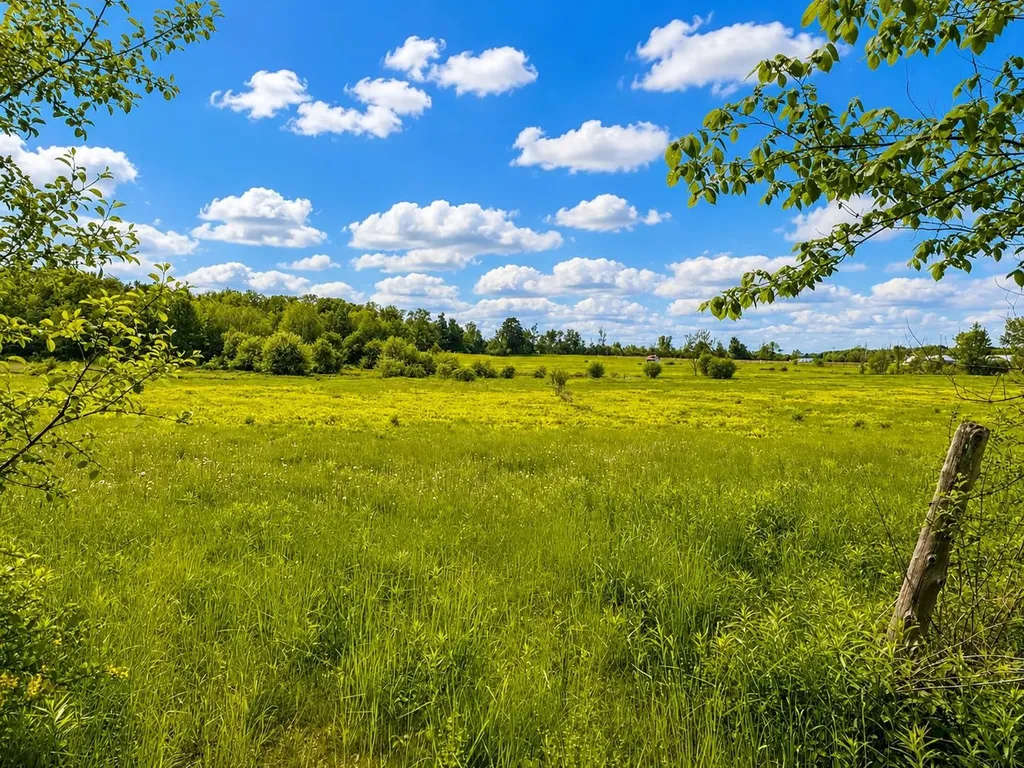 674 Cadieux Road Georgia VT 05478