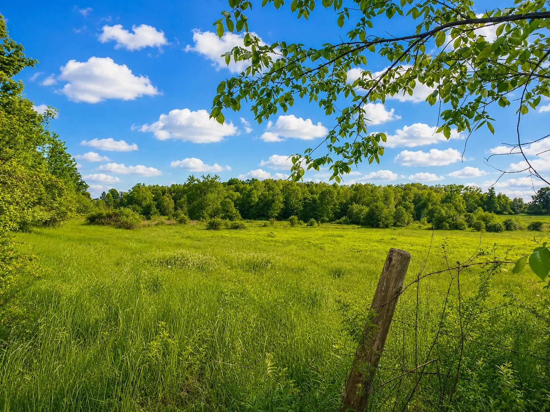 674 Cadieux Road Georgia VT 05478