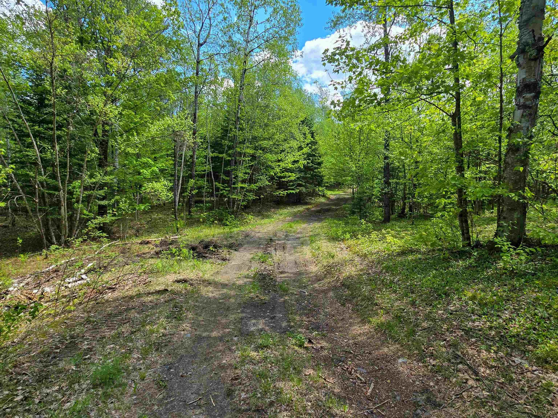 990 Daniels West Road Albany VT 05820
