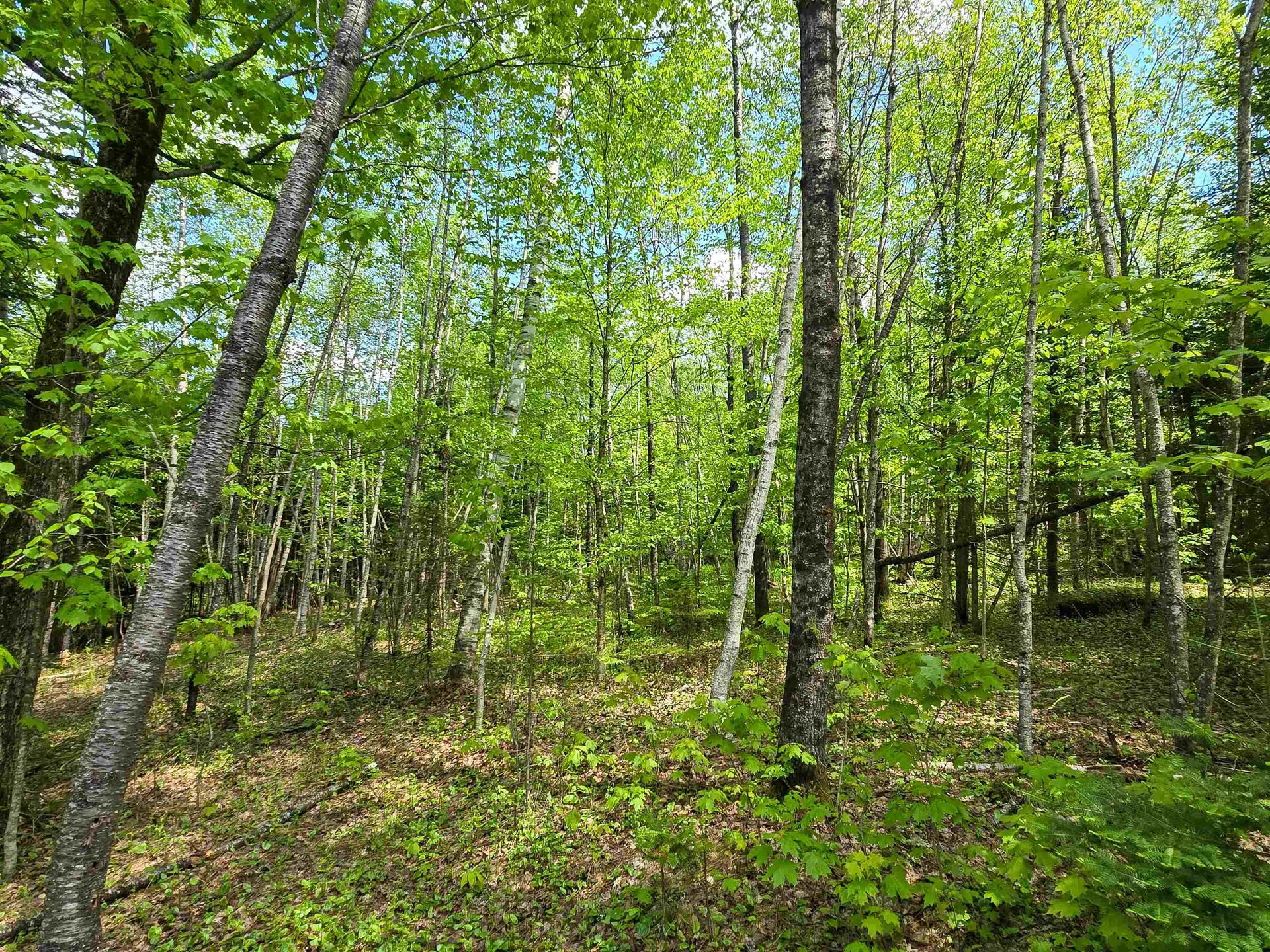 990 Daniels West Road Albany VT 05820
