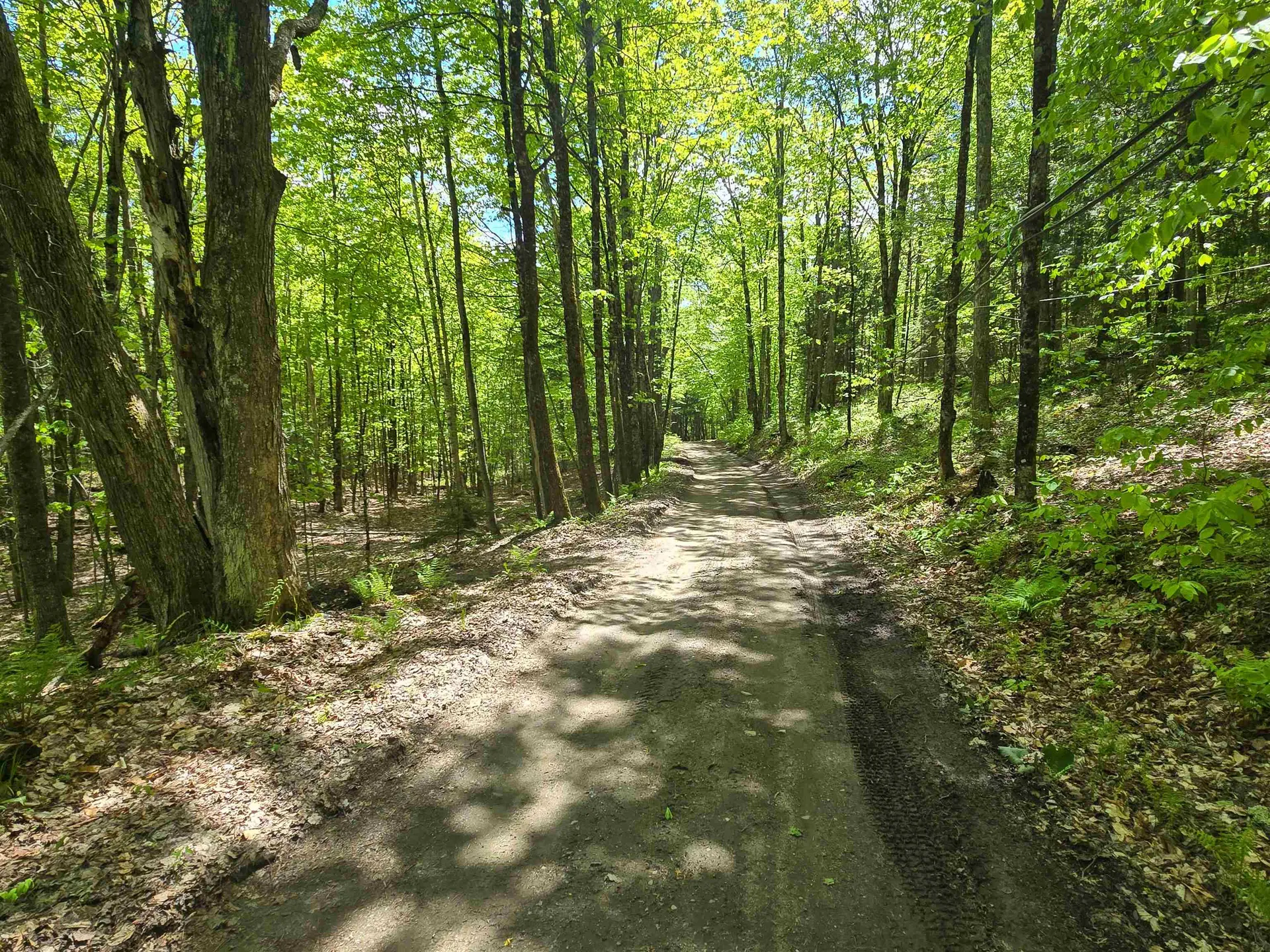 990 Daniels West Road Albany VT 05820