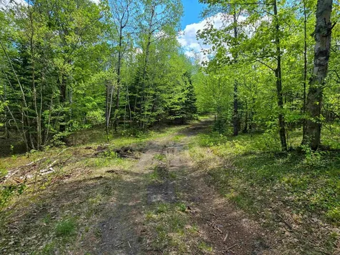990 Daniels West Road Albany VT 05820