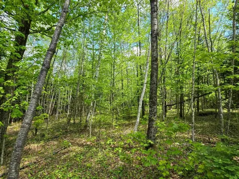 990 Daniels West Road Albany VT 05820