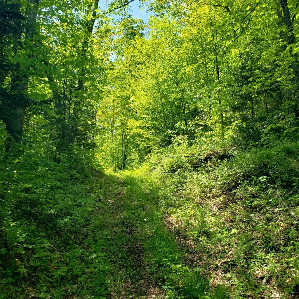 00 Beaver Meadow Road Roxbury VT 05669