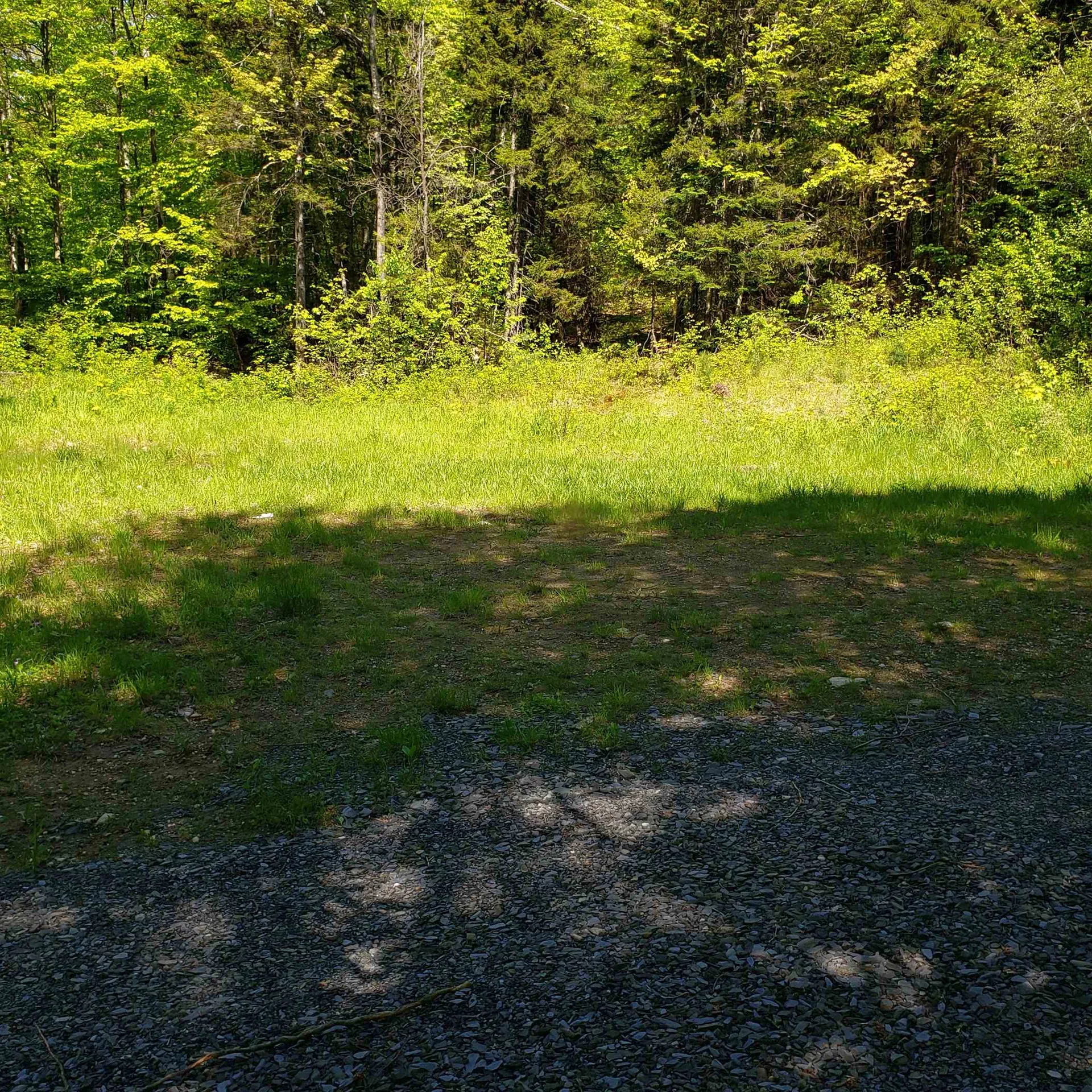 00 Beaver Meadow Road Roxbury VT 05669
