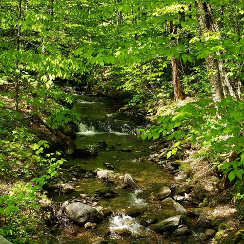 00 Beaver Meadow Road Roxbury VT 05669