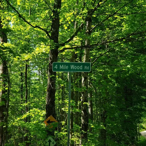 00 Beaver Meadow Road Roxbury VT 05669