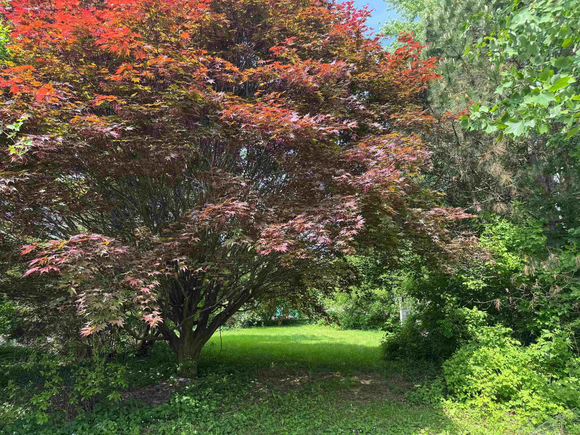 141 West Canal Street Winooski VT 05404