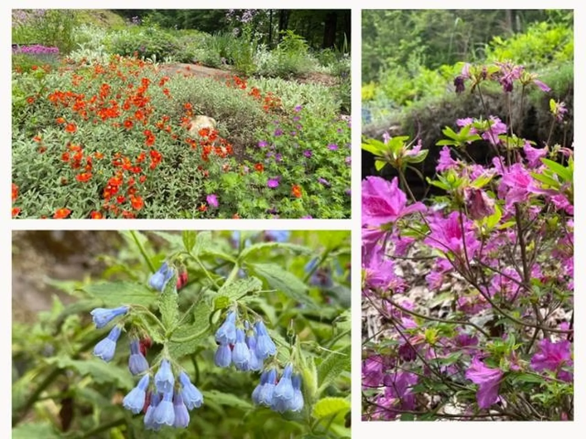 25-27 Gingko Lane Brattleboro VT 05301