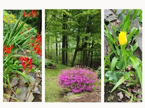 25-27 Gingko Lane Brattleboro VT 05301