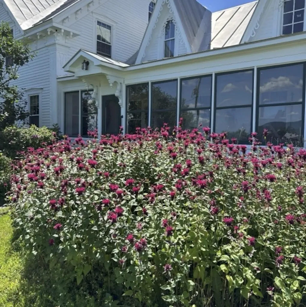 1388 Taylor Farm Road Marshfield VT 05668