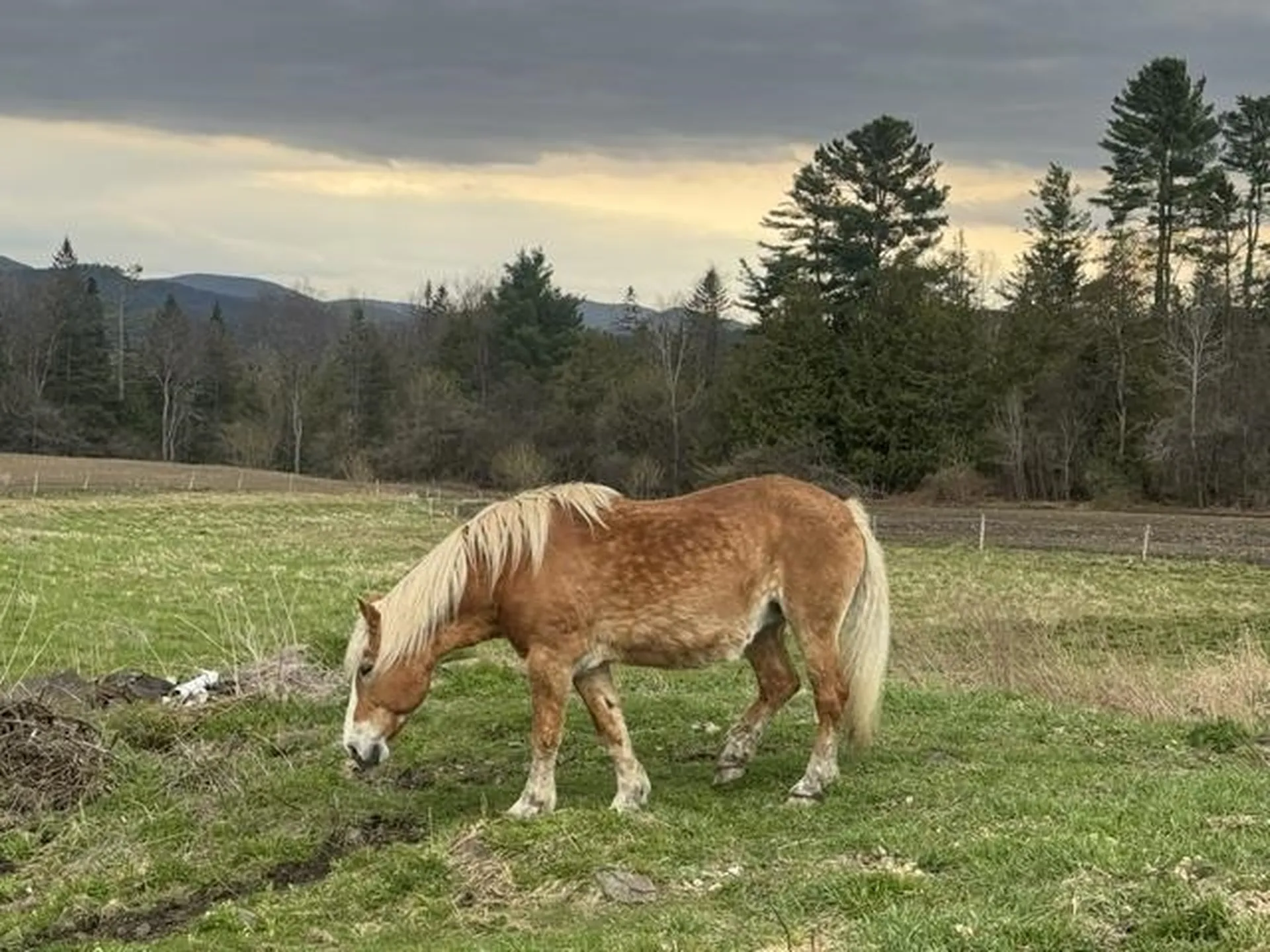 1388 Taylor Farm Road Marshfield VT 05668