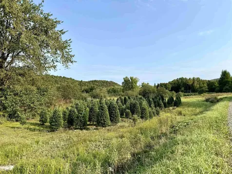 92 Bishop Brook Road Stewartstown NH 03576
