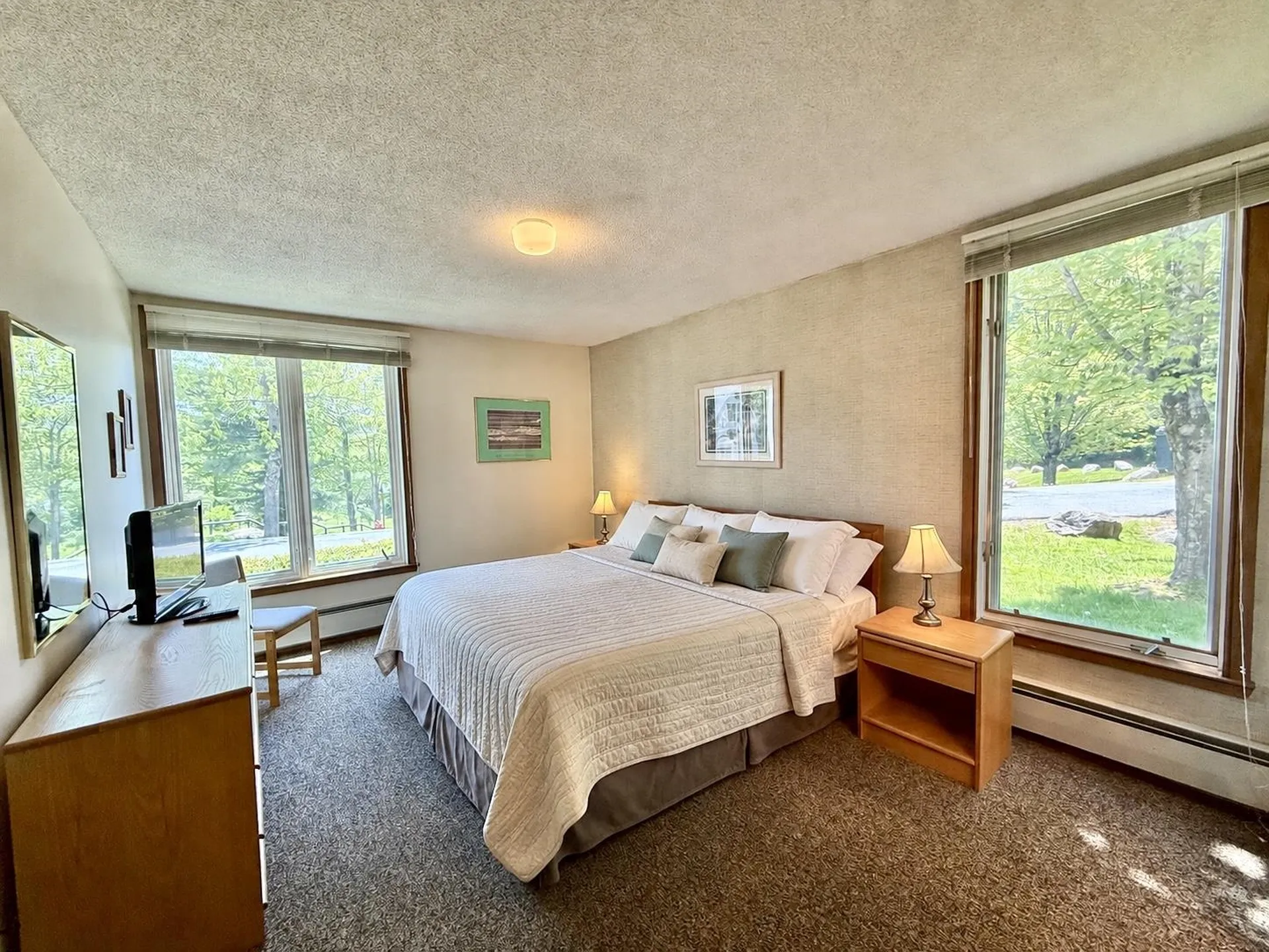 5A Sportscenter Village Way Dover VT 05356