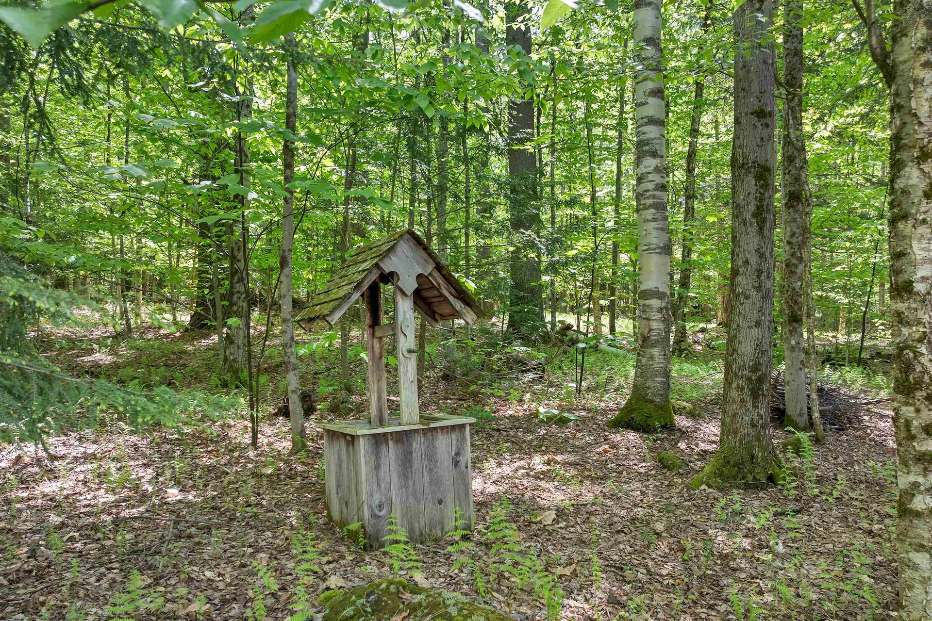 155 Fox Run Road Stoddard NH 03464
