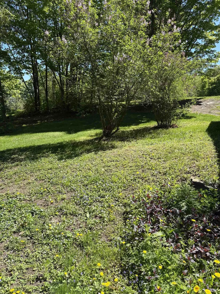 396 Rand Road Randolph VT 05061