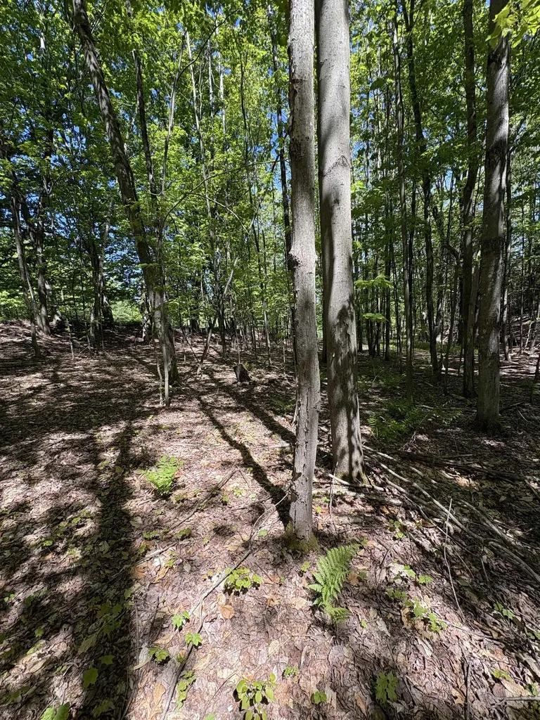 396 Rand Road Randolph VT 05061