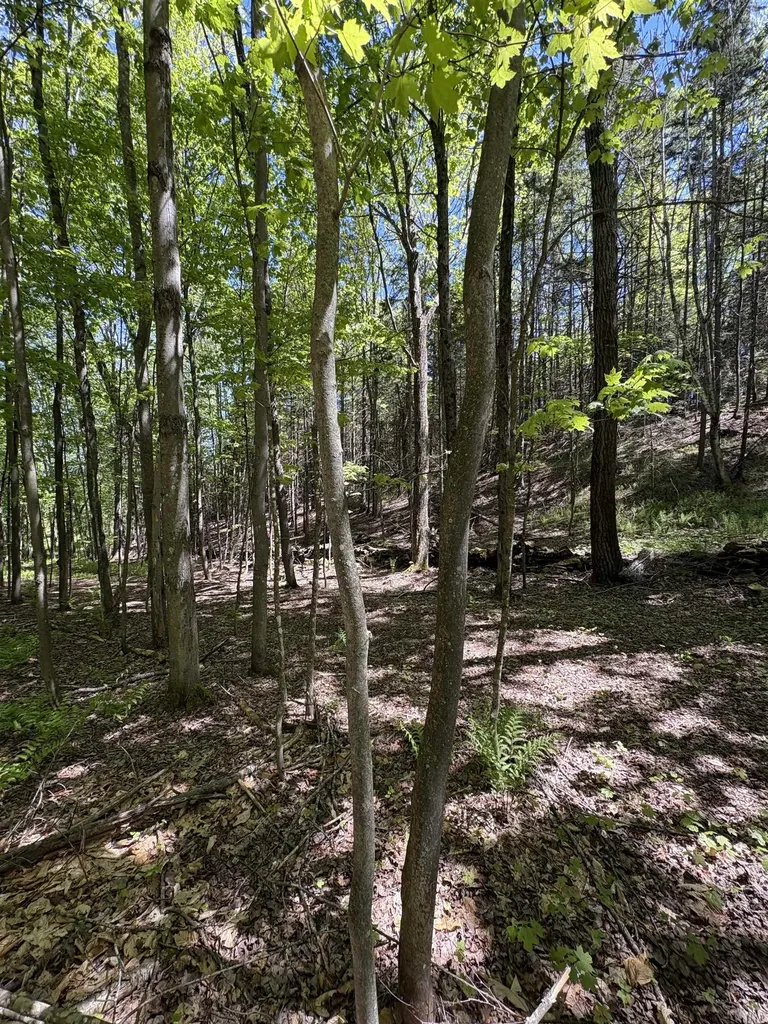 396 Rand Road Randolph VT 05061