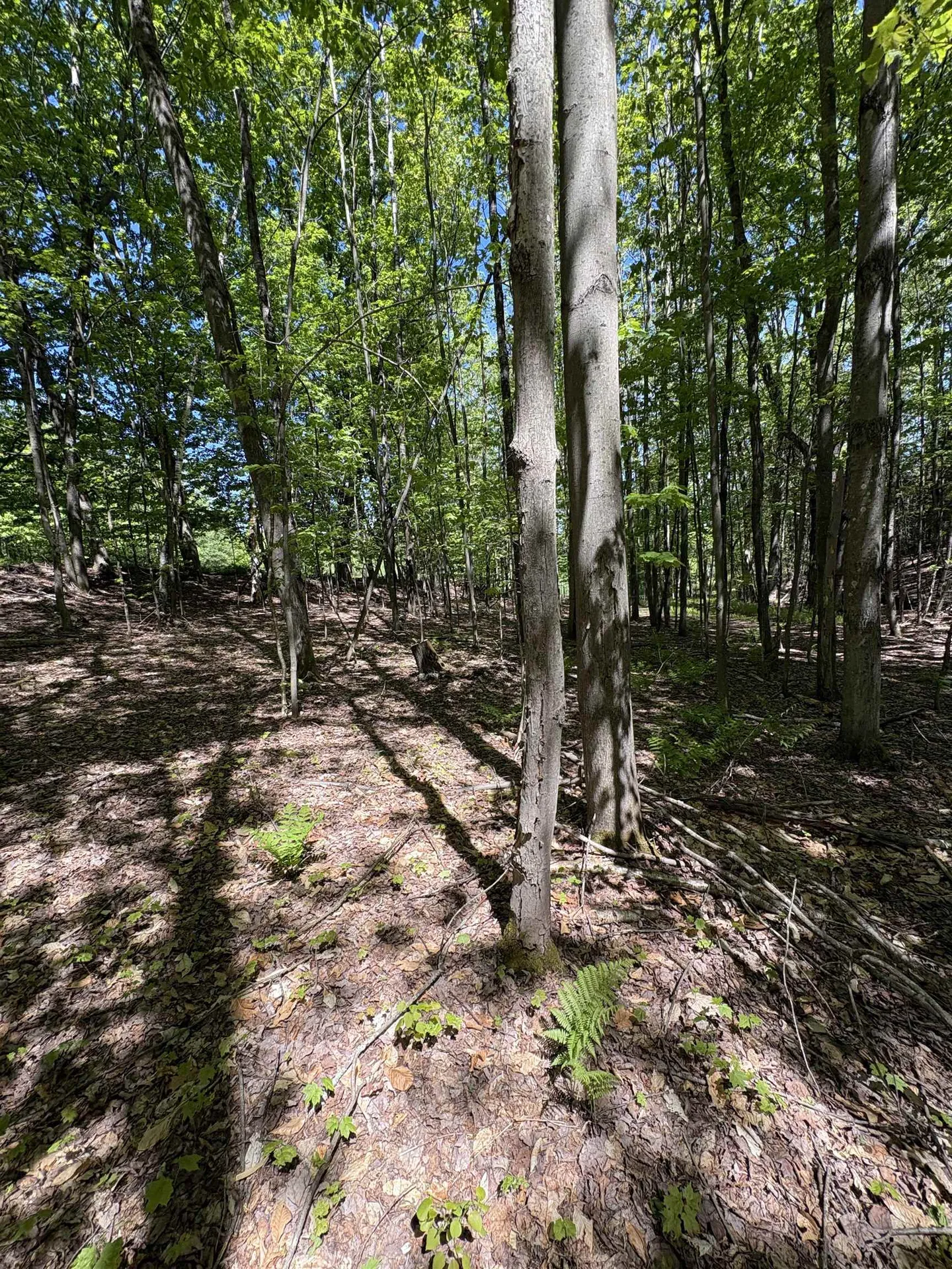 396 Rand Road Randolph VT 05061
