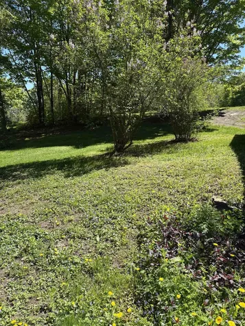 396 Rand Road Randolph VT 05061