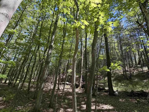 396 Rand Road Randolph VT 05061