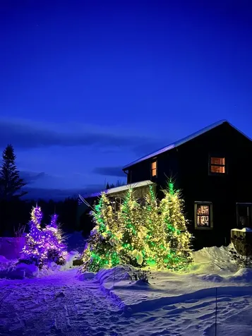 1665 Johnson Road Concord VT 05824