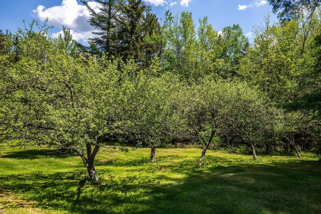124 Forrester Road Stratton VT 05360