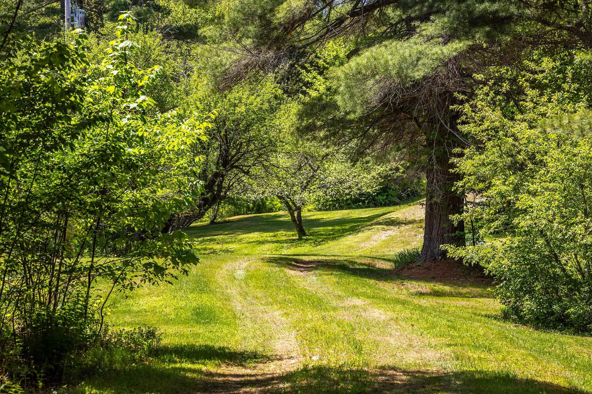 124 Forrester Road Stratton VT 05360