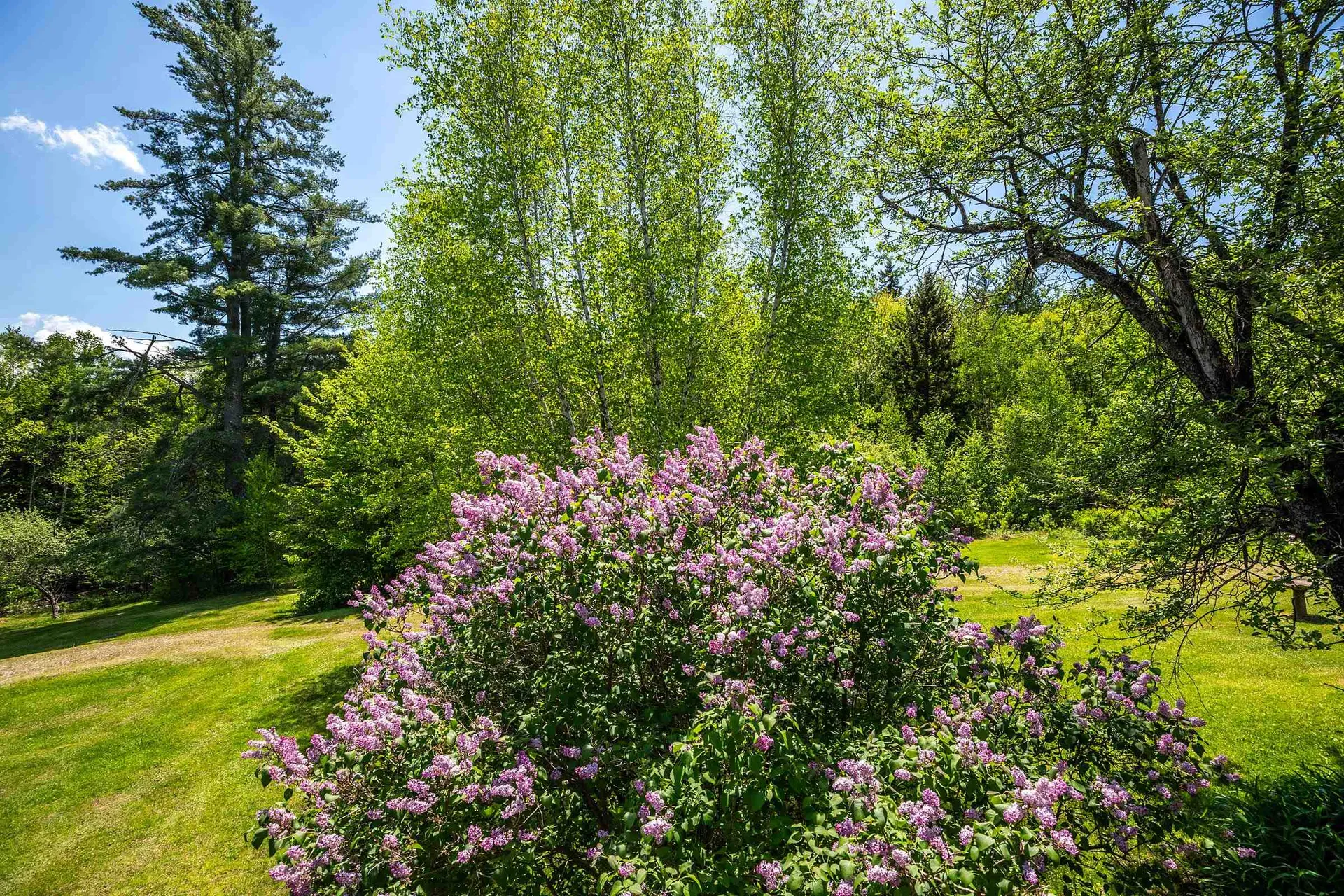 124 Forrester Road Stratton VT 05360