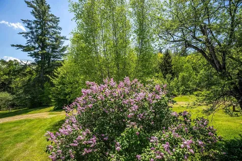 124 Forrester Road Stratton VT 05360