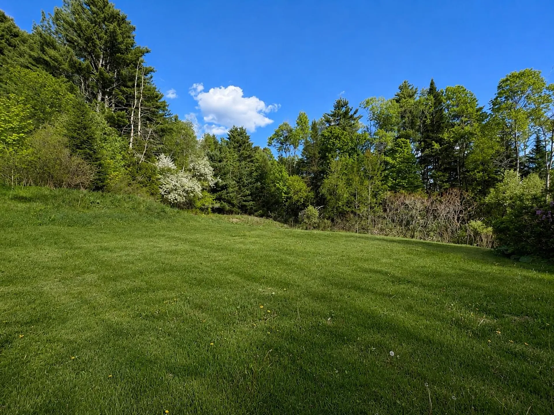 704 South Wheelock Road Lyndon VT 05851