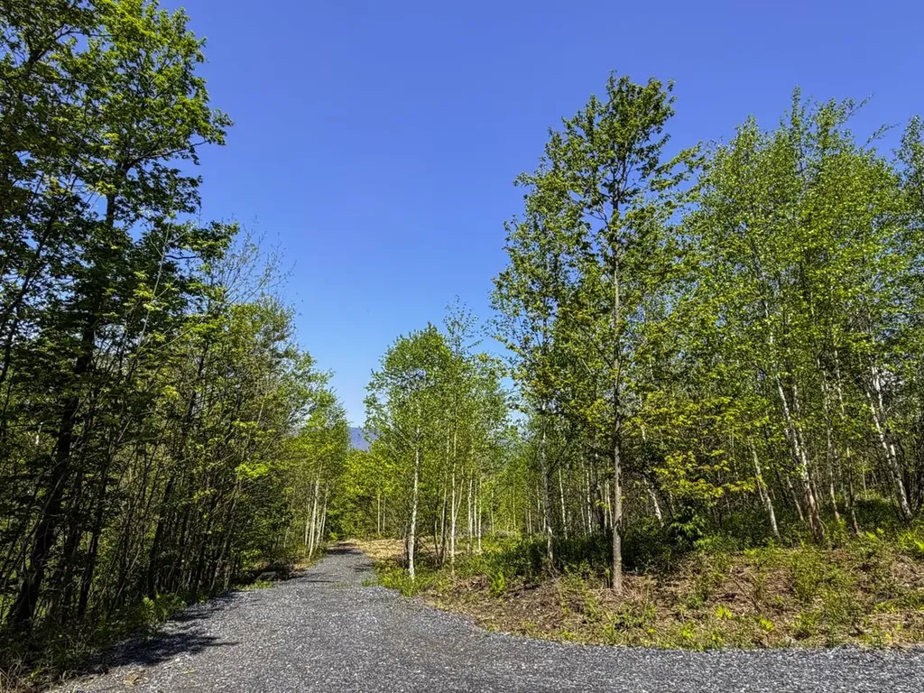 Lot 5 Highview Road Warren VT 05674