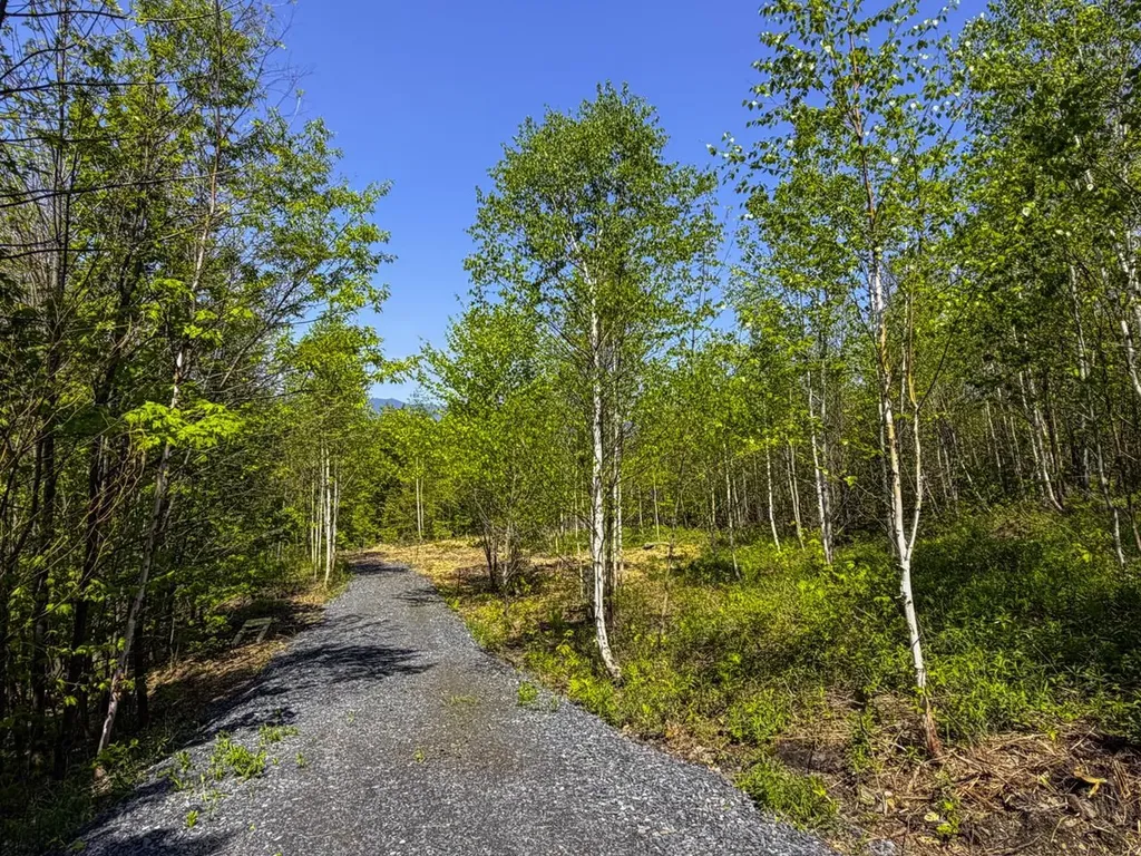 Lot 5 Highview Road Warren VT 05674