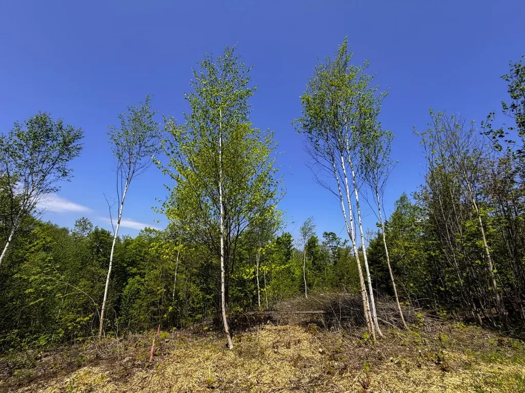Lot 5 Highview Road Warren VT 05674