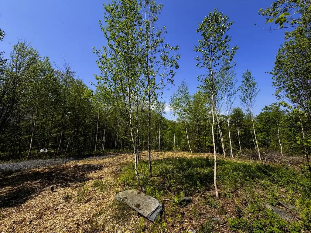 Lot 5 Highview Road Warren VT 05674